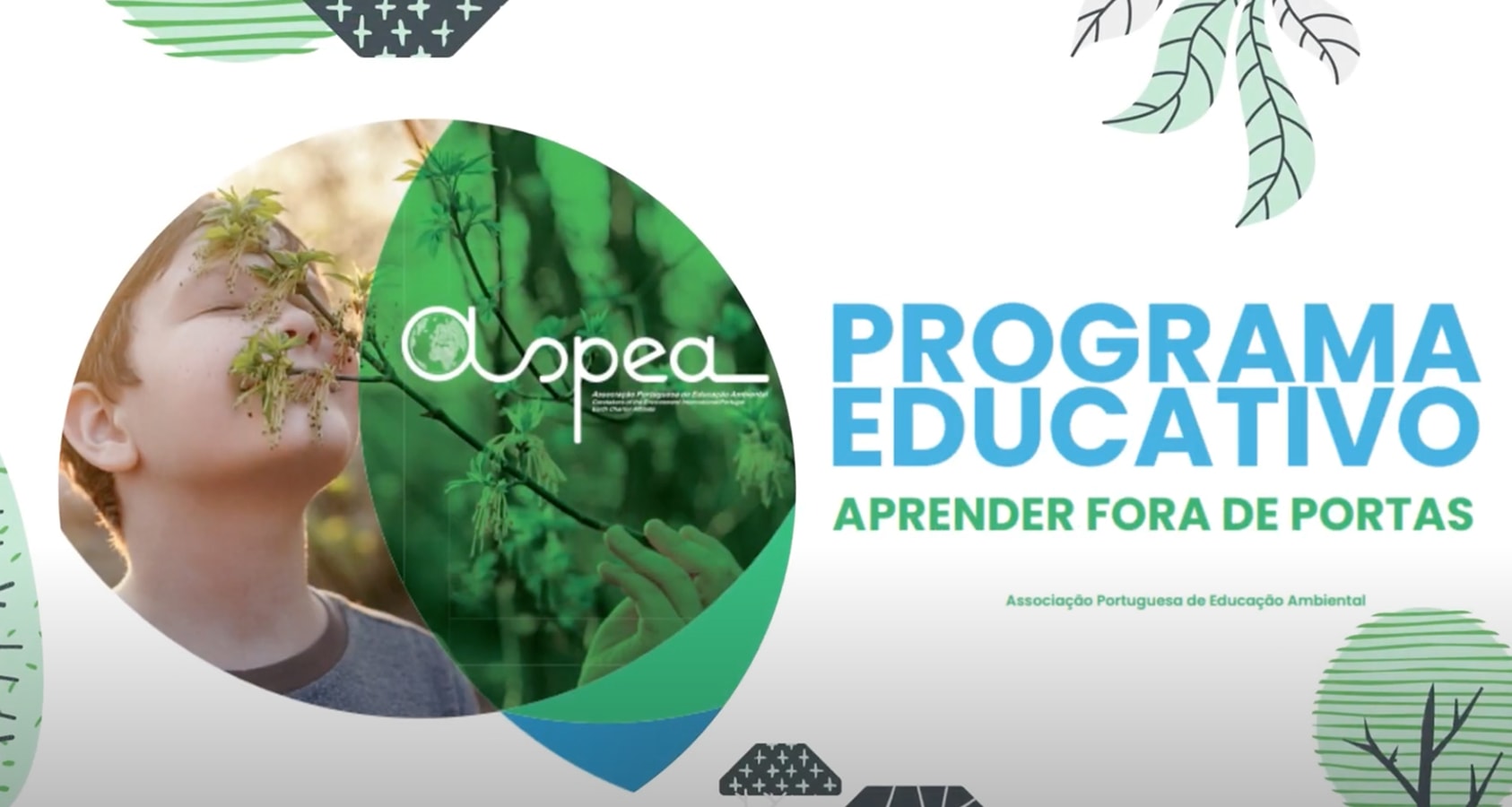 Programa Educativo